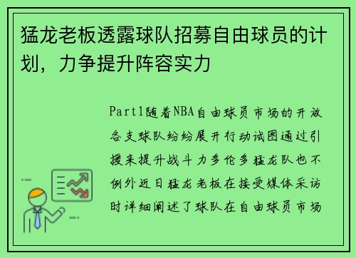 猛龙老板透露球队招募自由球员的计划，力争提升阵容实力